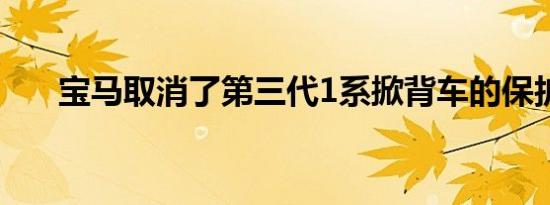 宝马取消了第三代1系掀背车的保护罩