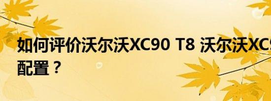 如何评价沃尔沃XC90 T8 沃尔沃XC90 T8的配置？