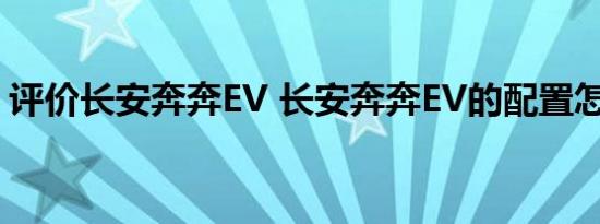 评价长安奔奔EV 长安奔奔EV的配置怎么样？