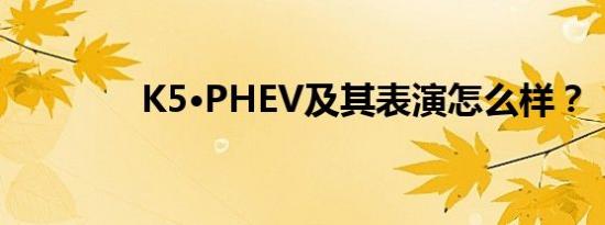 K5·PHEV及其表演怎么样？