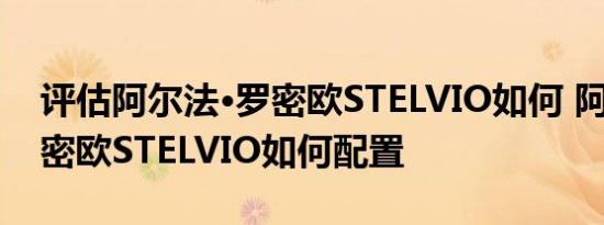 评估阿尔法·罗密欧STELVIO如何 阿尔法·罗密欧STELVIO如何配置