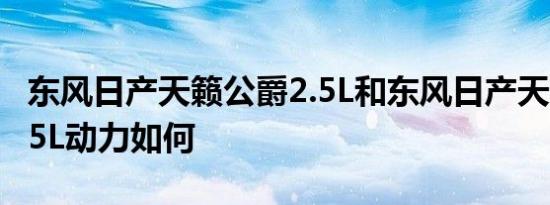 东风日产天籁公爵2.5L和东风日产天籁公爵2.5L动力如何