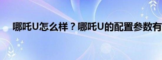 哪吒U怎么样？哪吒U的配置参数有哪些