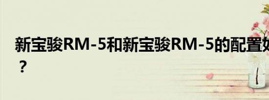 新宝骏RM-5和新宝骏RM-5的配置如何评价？