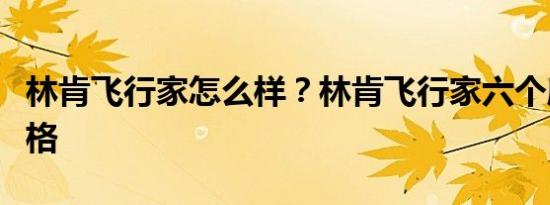 林肯飞行家怎么样？林肯飞行家六个座位的价格