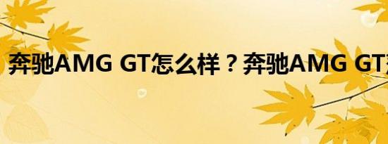 奔驰AMG GT怎么样？奔驰AMG GT落地价