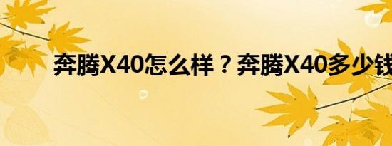 奔腾X40怎么样？奔腾X40多少钱？