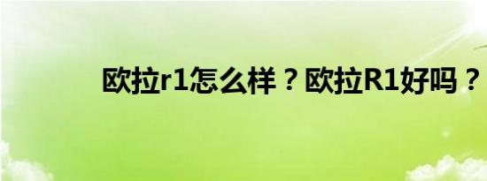 欧拉r1怎么样？欧拉R1好吗？