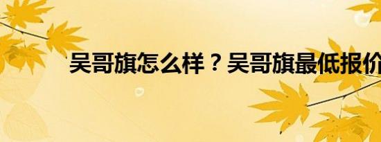 吴哥旗怎么样？吴哥旗最低报价