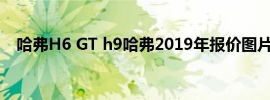 哈弗H6 GT h9哈弗2019年报价图片如何