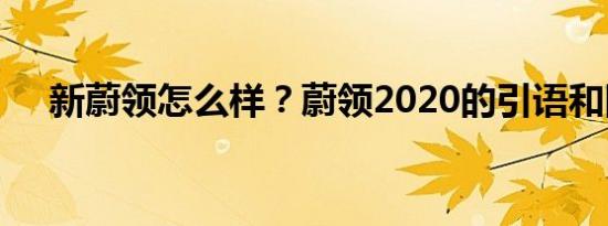 新蔚领怎么样？蔚领2020的引语和图片