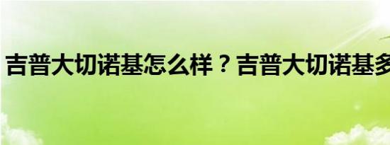 吉普大切诺基怎么样？吉普大切诺基多少钱？