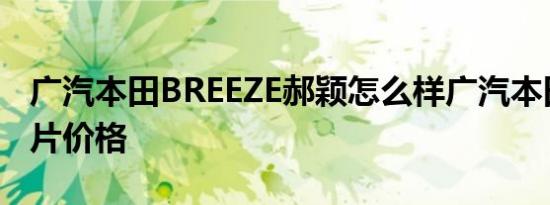 广汽本田BREEZE郝颖怎么样广汽本田郝颖图片价格