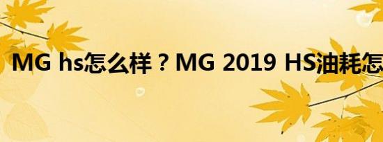 MG hs怎么样？MG 2019 HS油耗怎么样？