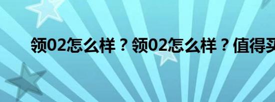 领02怎么样？领02怎么样？值得买吗