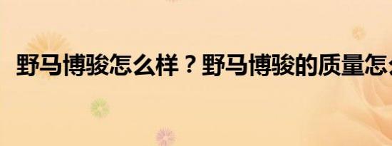 野马博骏怎么样？野马博骏的质量怎么样？