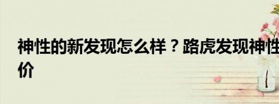 神性的新发现怎么样？路虎发现神性2019报价