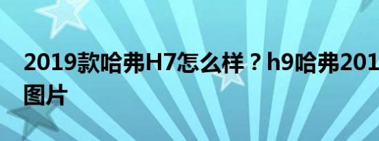 2019款哈弗H7怎么样？h9哈弗2019年报价图片