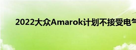 2022大众Amarok计划不接受电气化