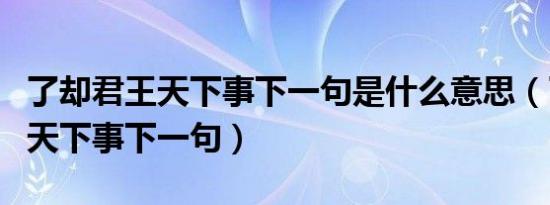 了却君王天下事下一句是什么意思（了却君王天下事下一句）