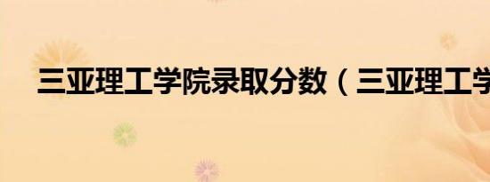 三亚理工学院录取分数（三亚理工学院）