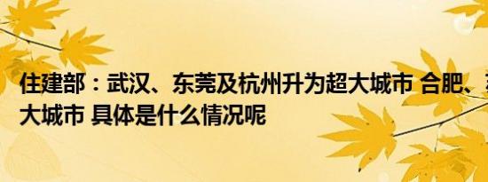 住建部：武汉、东莞及杭州升为超大城市 合肥、苏州升为特大城市 具体是什么情况呢