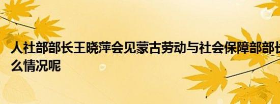 人社部部长王晓萍会见蒙古劳动与社会保障部部长 具体是什么情况呢