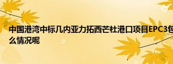 中国港湾中标几内亚力拓西芒杜港口项目EPC3包 具体是什么情况呢