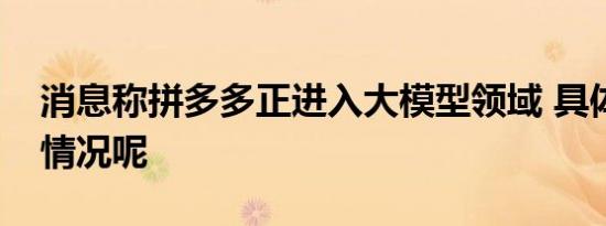 消息称拼多多正进入大模型领域 具体是什么情况呢