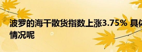 波罗的海干散货指数上涨3.75% 具体是什么情况呢