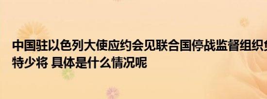 中国驻以色列大使应约会见联合国停战监督组织负责人高查特少将 具体是什么情况呢