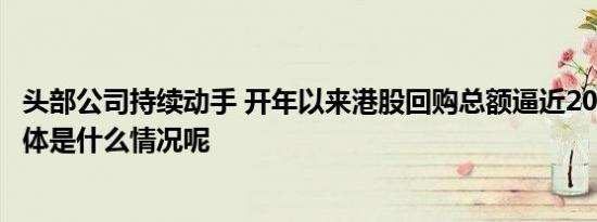 头部公司持续动手 开年以来港股回购总额逼近200亿港元 具体是什么情况呢