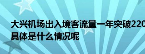 大兴机场出入境客流量一年突破220万人次 具体是什么情况呢