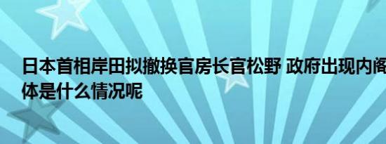 日本首相岸田拟撤换官房长官松野 政府出现内阁改组论 具体是什么情况呢