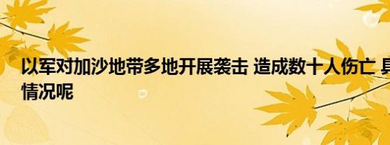 以军对加沙地带多地开展袭击 造成数十人伤亡 具体是什么情况呢