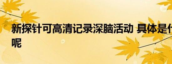 新探针可高清记录深脑活动 具体是什么情况呢