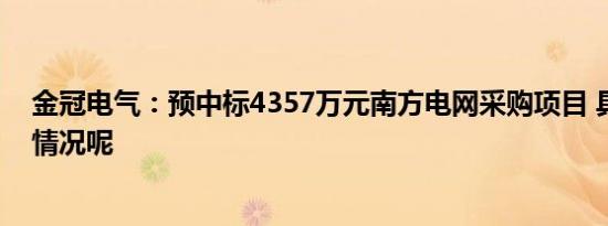 金冠电气：预中标4357万元南方电网采购项目 具体是什么情况呢