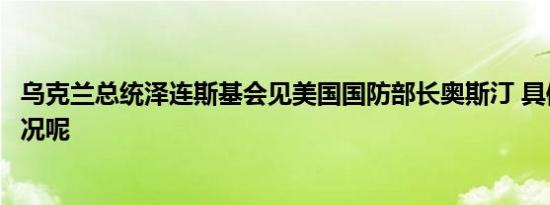 乌克兰总统泽连斯基会见美国国防部长奥斯汀 具体是什么情况呢