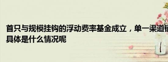 首只与规模挂钩的浮动费率基金成立，单一渠道销量占77% 具体是什么情况呢