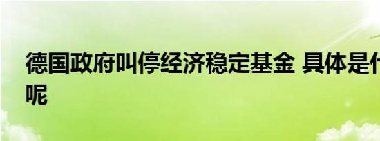 德国政府叫停经济稳定基金 具体是什么情况呢