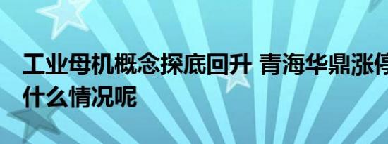 工业母机概念探底回升 青海华鼎涨停 具体是什么情况呢