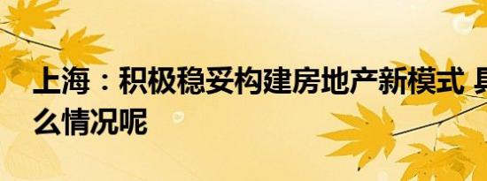 上海：积极稳妥构建房地产新模式 具体是什么情况呢