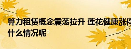 算力租赁概念震荡拉升 莲花健康涨停 具体是什么情况呢