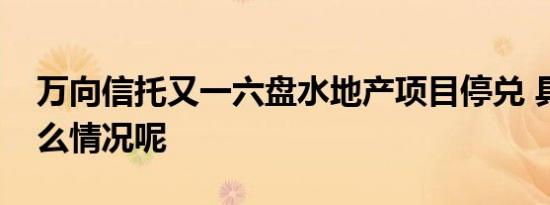 万向信托又一六盘水地产项目停兑 具体是什么情况呢