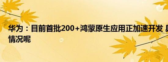 华为：目前首批200+鸿蒙原生应用正加速开发 具体是什么情况呢