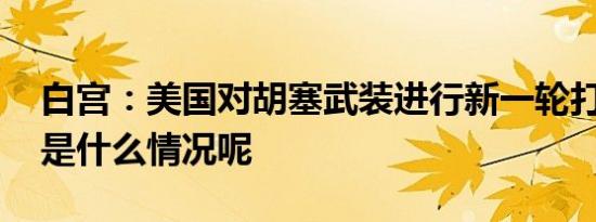 白宫：美国对胡塞武装进行新一轮打击 具体是什么情况呢