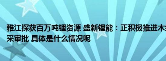 雅江探获百万吨锂资源 盛新锂能：正积极推进木绒锂矿探转采审批 具体是什么情况呢