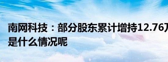 南网科技：部分股东累计增持12.76万股 具体是什么情况呢