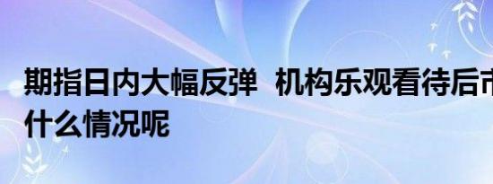 期指日内大幅反弹  机构乐观看待后市 具体是什么情况呢