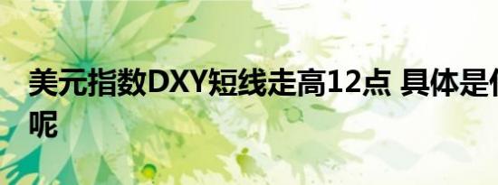 美元指数DXY短线走高12点 具体是什么情况呢